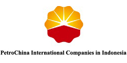 PetroChina International